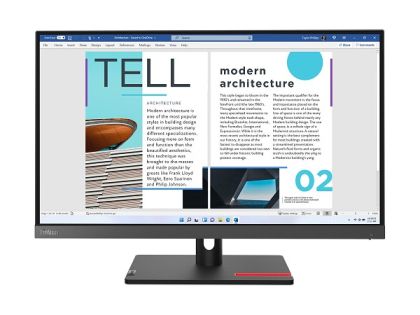 Монитор LENOVO ThinkVision S25e-30 (63E0KAT4EU), 24.5" VA, FullHD (1920x1080) 75Hz, 16:9, 4ms, 250cd/m2, 3000:1, VGA, HDMI, Storm Grey