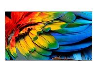 PHILIPS 75inch Professional TV Media Suite Android