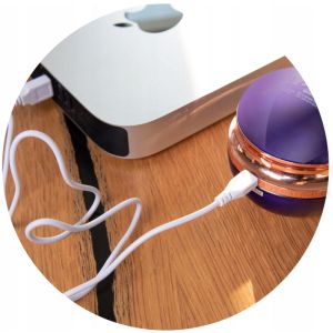 Пилинг за дрехи FIRST AUSTRIA FA-5530-4-PU, 3W, USB, Oстриета от неръждаема стомана, Лилав/златист