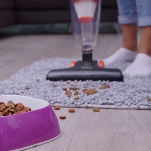 Прахосмукачка вертикална ROSBERG R51001A, 600W, 800 ml, HEPA филтър, Използване като ръчна, Черен