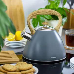 Чайник KLAUSBERG KB 7297, 3 литра, Свирещ, Индукция, Сив инокс