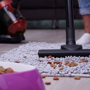 Прахосмукачка без торбичка ROSBERG R51001B, 800W, HEPA, Циклон, 2 литра, Червен/черен