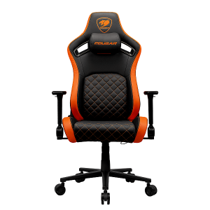 Cougar Chair Defensor