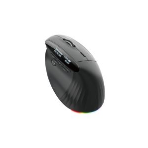 Безжична мишка ACER Smart Fit (HP.EXPBG.020), Wireless/Bluetooth, 8000 DPI, Rechargeable, Black with RGB strip
