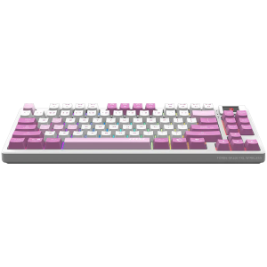 MSI FORGE GK600 TKL WIRELESS VIOLET - Hot-Swappable Mechanical Switches, PBT Keycaps, Sound-Dampening Foam and Gaskets, Integrated Display, RGB LED, 2.4GHz, BT, USB-C