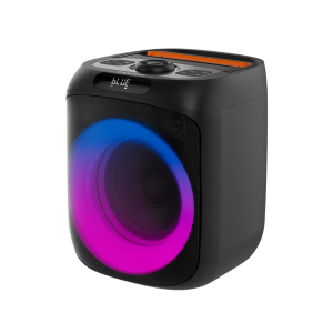 Преносима парти колонка CANYON CNE-PBSP6 OnFun 6, RGB, Bluetooth 6.0, Black
