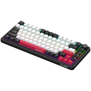 LORGAR Gaming Keyboard KBA4175 Advanced Wired 75% Black EN
