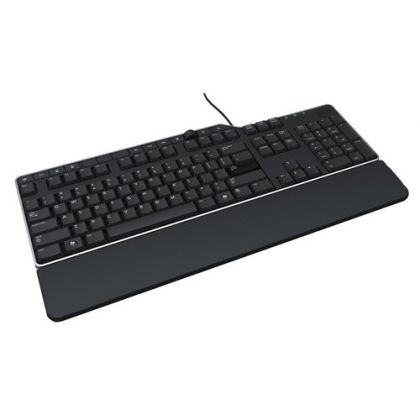 Клавиатура Dell KB-522 (580-17667-14), Wired Business Multimedia, USB, Black (QWERTY)