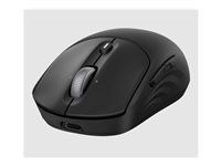 HP 705 Rechargeable Wireless B Mouse