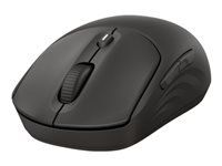 HP 405 Quiet BLK Wireless Mouse EMEA INTL Euro plug (EN)