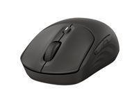 HP 405 Quiet Black Wireless B Mouse EMEA INTL Euro plug (EN)