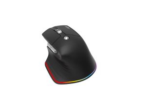 Безжична мишка ACER Easy Fit (HP.EXPBG.021), Wireless/Bluetooth, 4000DPI, Rechargeable, Black with RGB strip