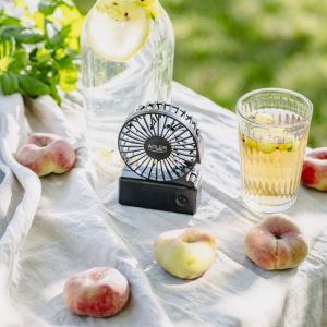 Преносим ръчен вентилатор Adler AD 7336, Сгъваем, 6.5 см, 46.2 dB, 2xAA, Перка наклонена под ъгъл 30 градуса, Черен